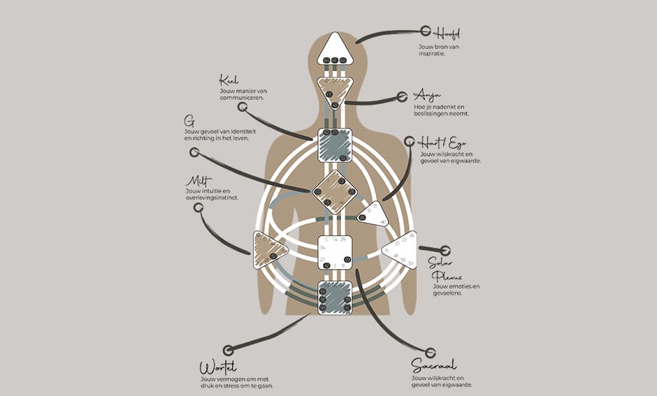 Mariposa 02 - Image 3